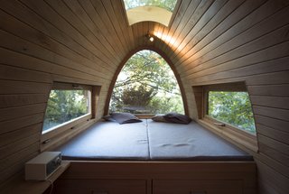 Due to the almost random arrangement of the house's columns, the small structure appears a bit like a large insect on the forest floor. Inside, the rounded shape and restrained choice of materials creates a nest-like environment. The vaulted roof skylight invites plenty of natural light inside, while also framing a mesmerizing view of the walnut tree.