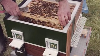The McHive is a fully functioning beehive with enough room for thousands of bees to work their magic.