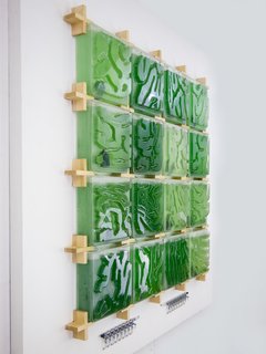 The cubes are filled with nutrient-dense algae and they regenerate every two weeks. 