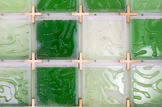 The algae containers are imprinted with patterns reminiscent of coral reefs.