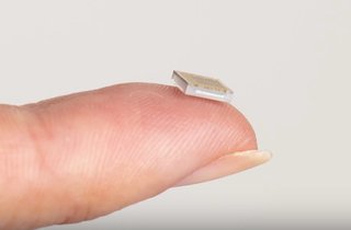 The tiny chip is connected to microthreads that transmit neurological information.