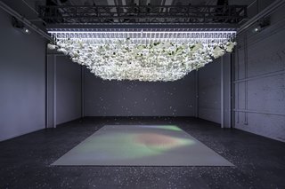 As attendees enter the exhibit, flower petals will begin to fall from the ceiling. Light and sound will slowly morph to create a meditative space.