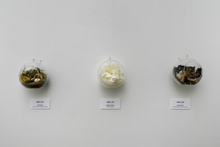 The exploration of scents adds an additional layer of connectivity between the onlooker and the exhibit. Scent expert Yosh Han curated these olfactory vignettes, and is hosting a perfume workshop as part of the series of events taking place during the The Art of Bloom. 