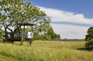 A small treehouse overlooks grassy fields and <span style="font-family: Theinhardt, -apple-system, BlinkMacSystemFont, "Segoe UI", Roboto, Oxygen-Sans, Ubuntu, Cantarell, "Helvetica Neue", sans-serif;">Squibnocket pond in the background</span><span style="font-family: Theinhardt, -apple-system, BlinkMacSystemFont, "Segoe UI", Roboto, Oxygen-Sans, Ubuntu, Cantarell, "Helvetica Neue", sans-serif;">. Jackie O reportedly had the structure built for her grandchildren when they were younger.</span>