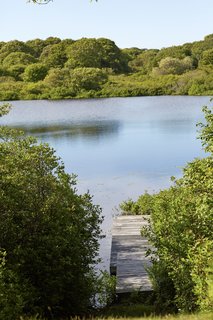 There is plenty of space to explore the property's more natural corners. The freshwater ponds offer opportunities to fish or simply enjoy the solitude.