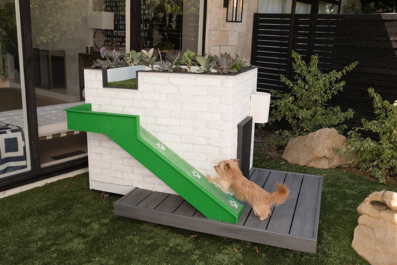 Photo 4 of 5 in Designer Doghouses Are Real—and Now You Can Win One Dwell