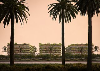 Africa's first Vertical Forests could pave new ground for an era of sustainability in Cairo—and the rest of the world. 