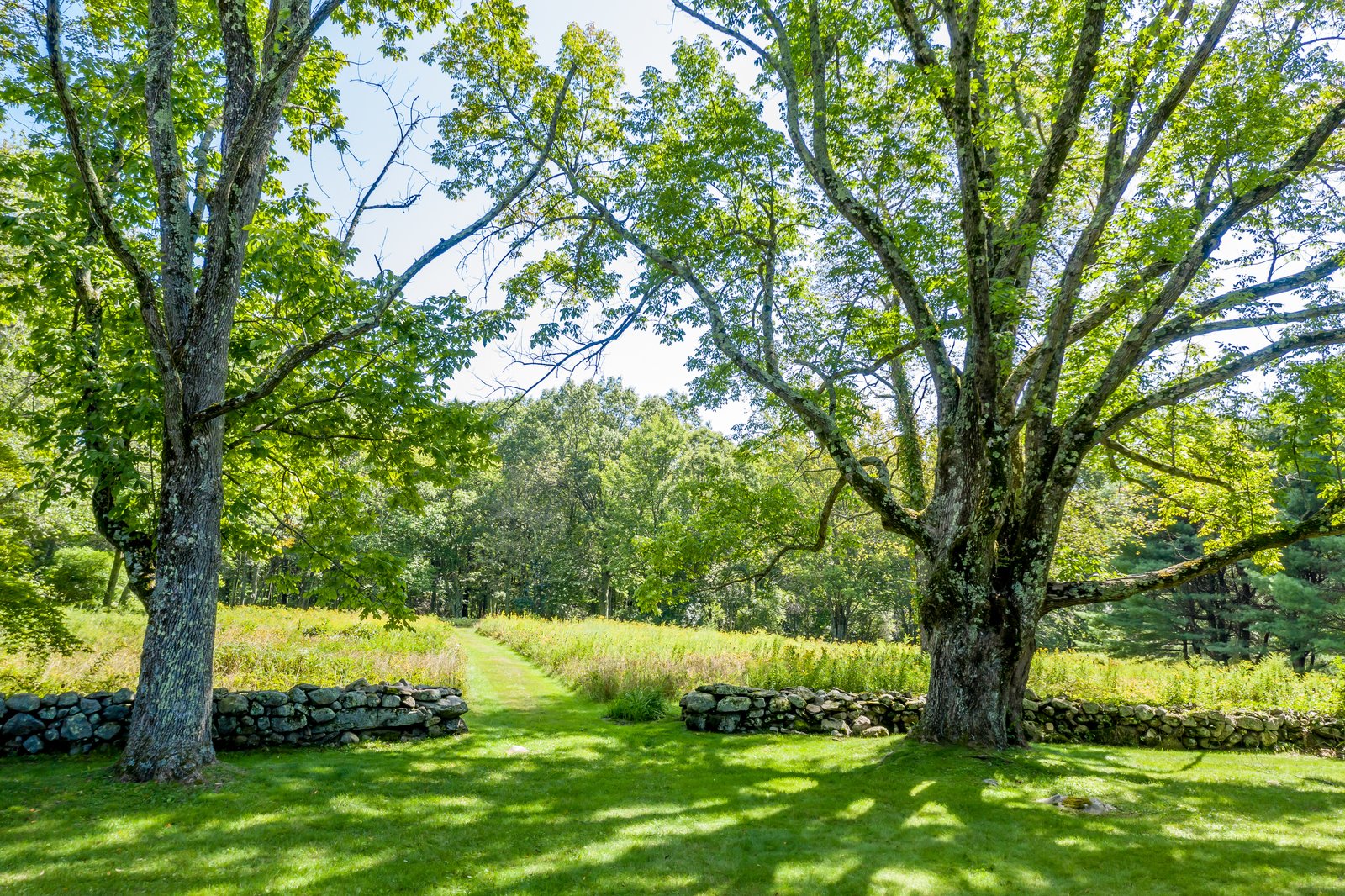 Photo 13 of 16 in The Longtime Connecticut Retreat of American Novelist ...