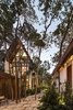 The five guest lodges range from around 500- to 600-square-feet. Photo 9 of Jungle Keva Tulum modern home