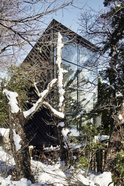 Its glass wall faces east, offering no respite from the sun at dawn— not a problem for early risers Carolina and Toño—but providing an enviable view of the vast parklands that surround the house.