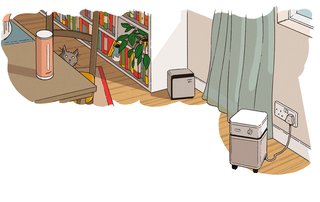 Breathe Easy With These Tried-and-True Solutions for Indoor Air Pollution
