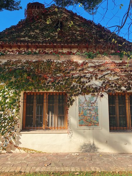 Gasma&rsquo;s state-of-the-art facilities are housed in a traditional Spanish villa with terra-cotta tiles, plaster walls, and wood trim.