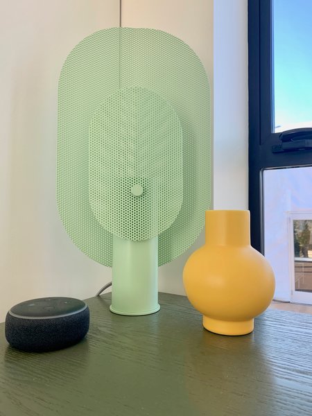 The Amazon Echo Dot comes standard with each new home, and makes communicating with other onboard smart tech a snap.