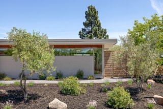 Outdoor, Shrubs, Front Yard, Vertical Fences, Wall, Trees, Wood Fences, Wall, and Walkways Set on a spacious lot in the Terra Linda area of San Rafael, California, this Eichler is elongated by a span of clerestory windows and masonry blocks along the front facade.