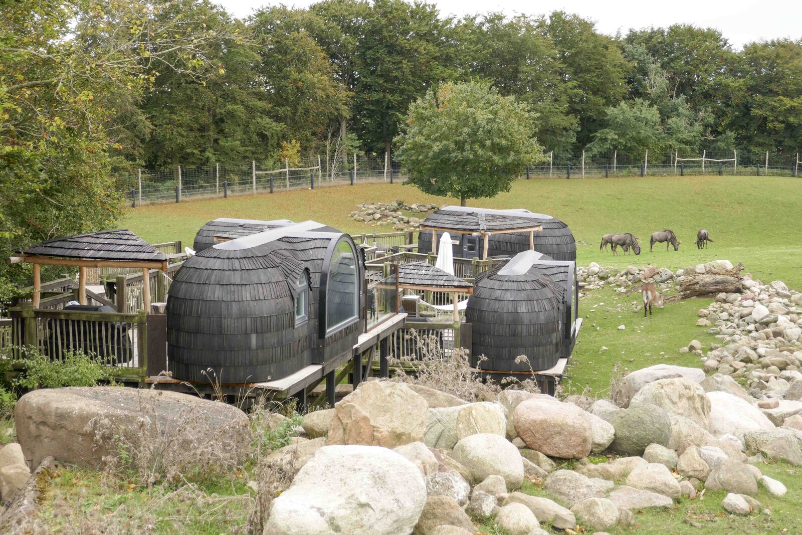 Enclosure in Glashare