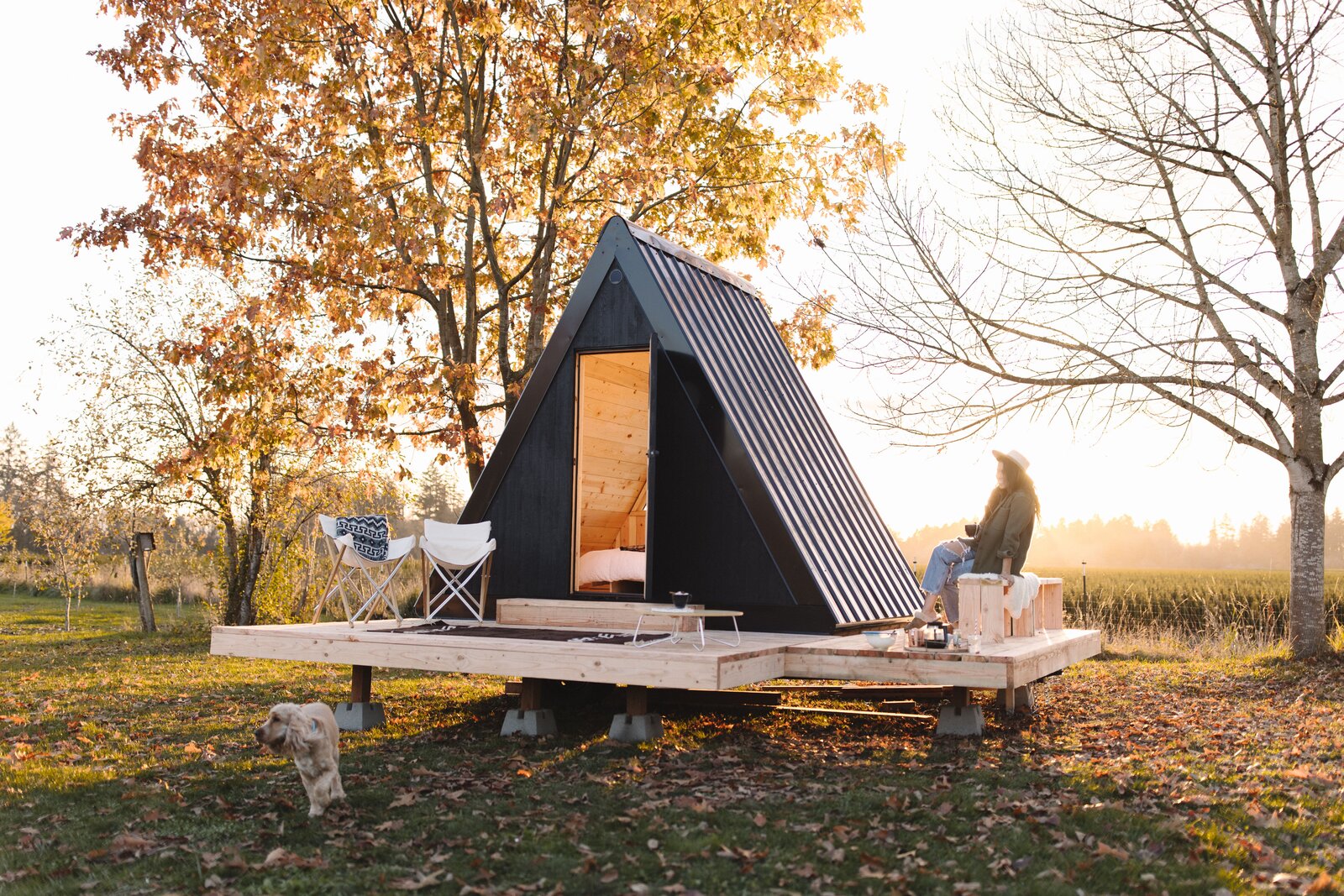 Photo 2 of 10 in This Tiny AFrame Cabin Is Available for Less Than