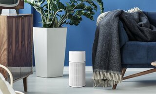 12 Air Purifiers That Will Help You Breathe Easy During Sneeze Season