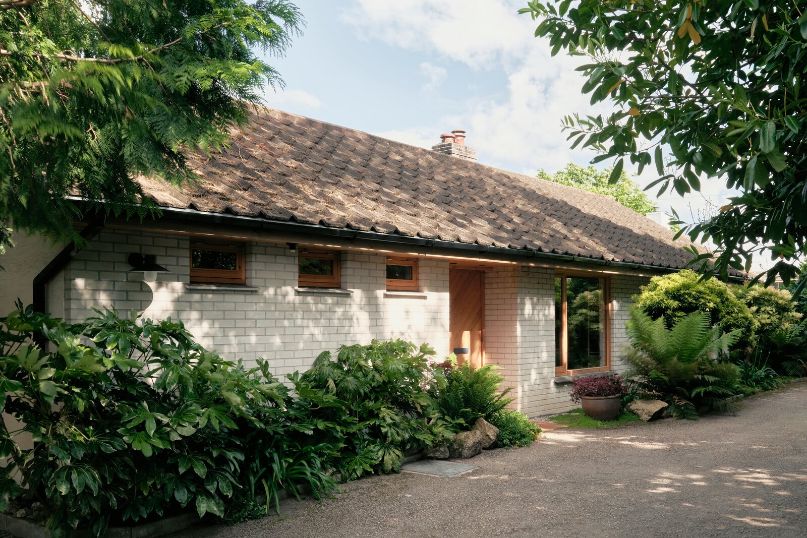 Set in a seaside town, this revamped cottage is bathed in natural light and warm finishes.