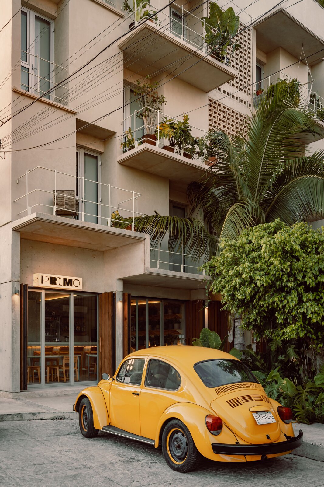 Photo 18 of 18 in In Cancún, Two Architects Are Using Rental Apartments