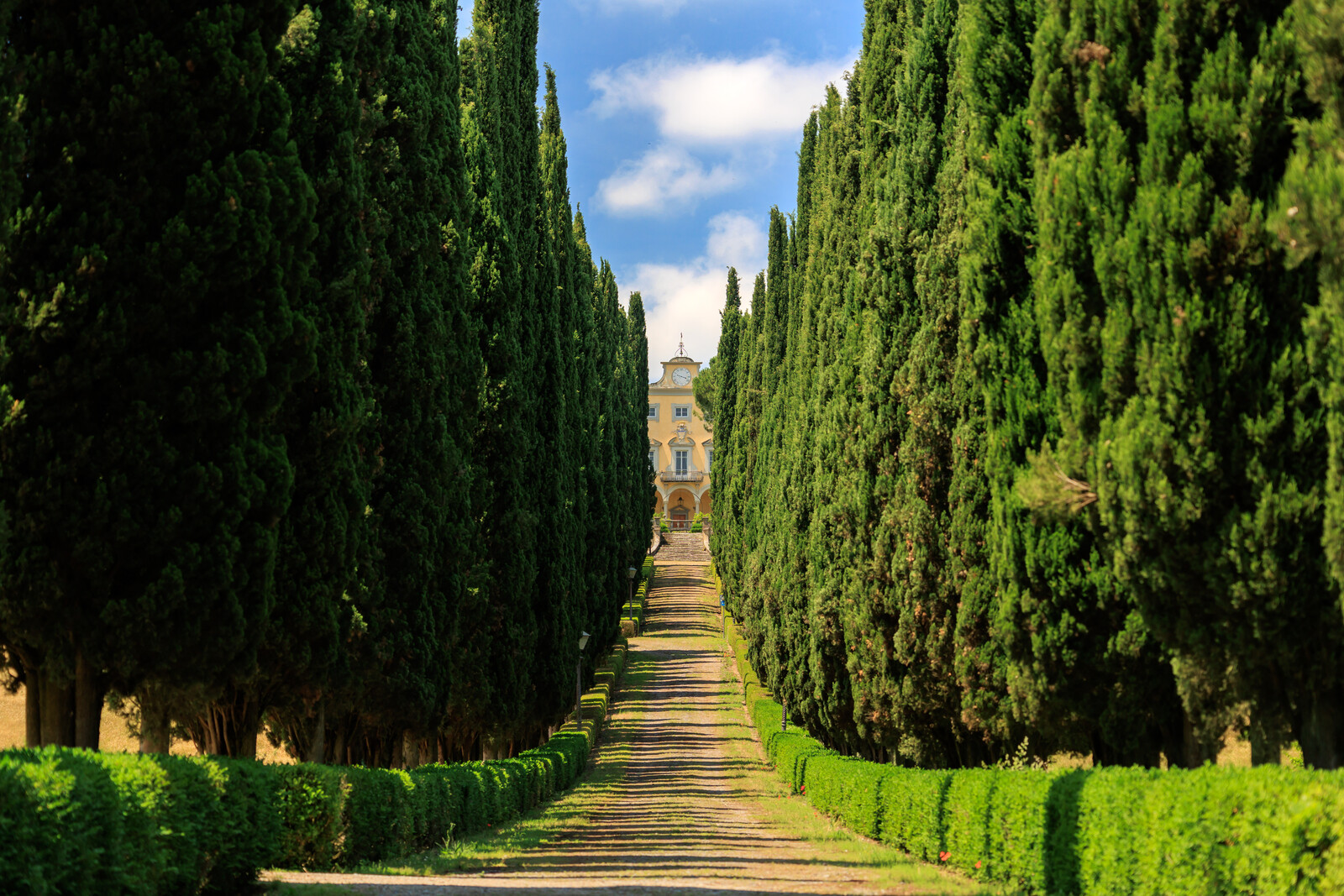 majestic cypress tree-lined avenue which leads to the garden with plants and ornamental tubs