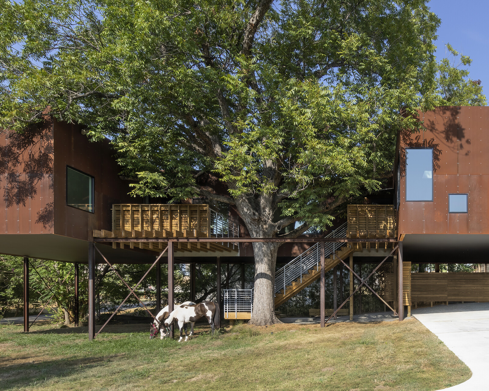 The 2,276-square-foot home is perched on tall metal stilts, echoing major treehouse vibes.