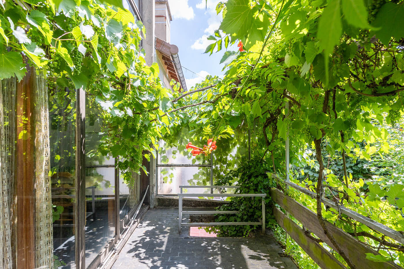 The top floor opens onto a vine-covered deck framing uninterrupted views of the panorama.