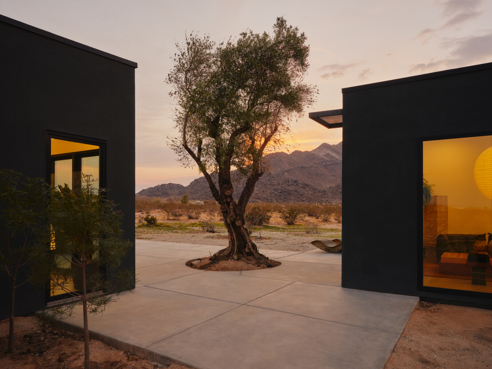 The connecting patio surrounds a solitary tree, with views of the surrounding desert.
