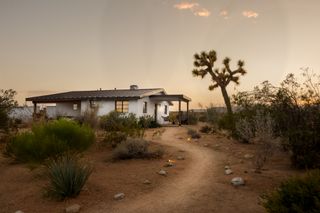This $900K Cottage Is a Little Slice of Scandinavia Near Joshua Tree