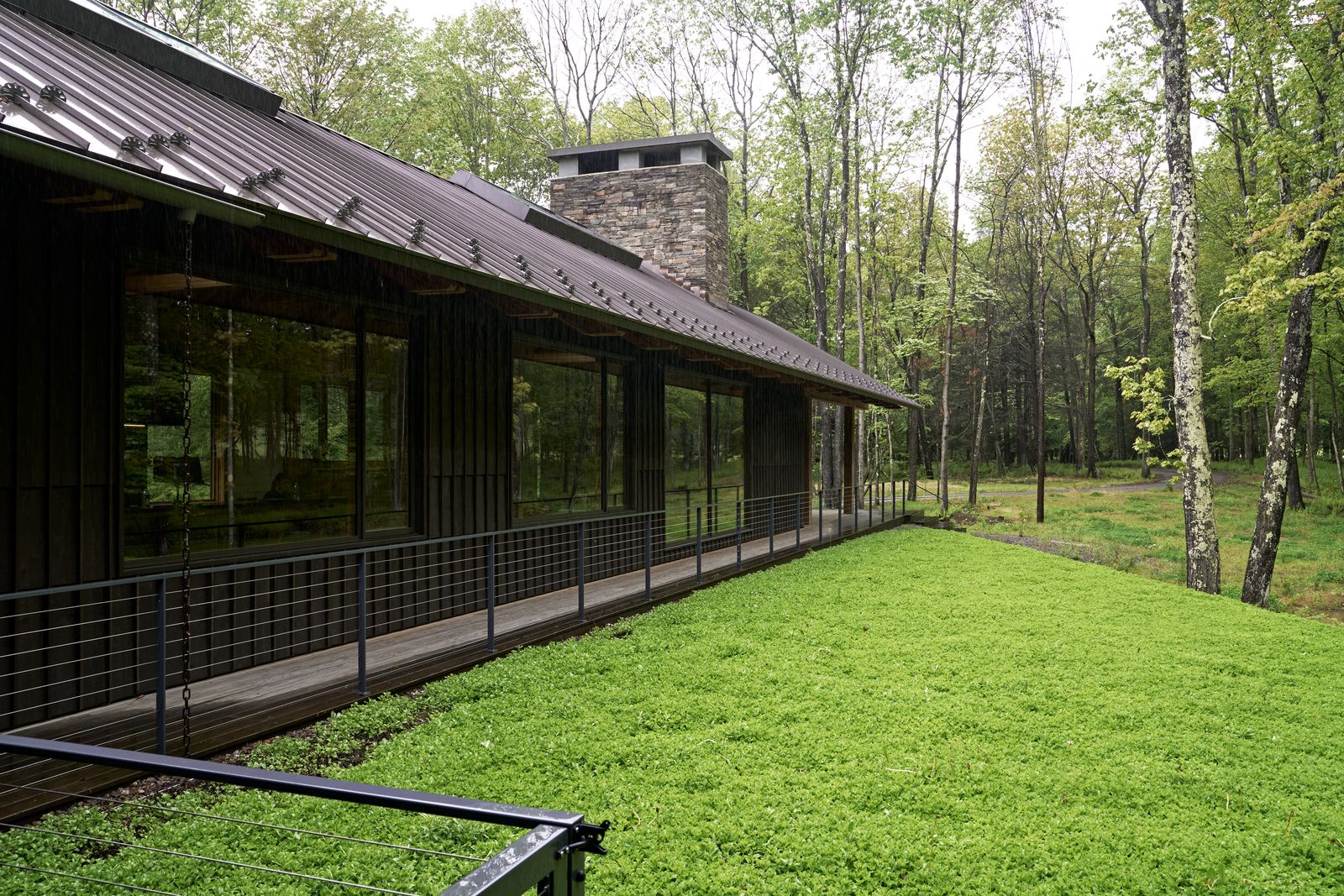 A view across the planted roof reveals the Marvin windows and doors from the Ultimate collection tucked beneath the extended eaves.