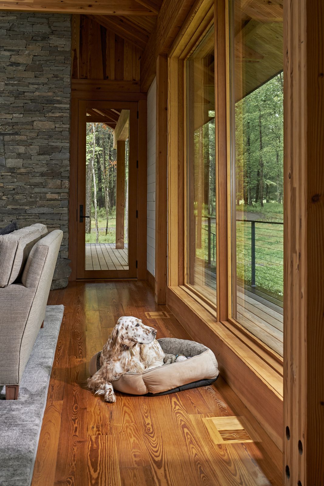 Inside the timber volume, living spaces unfold with long views through the trees—which are enjoyed by both the family and the family dog, Aspen. The elevation draws in northern light and allows the residents to feel immersed in the seasons without sacrificing comfort.