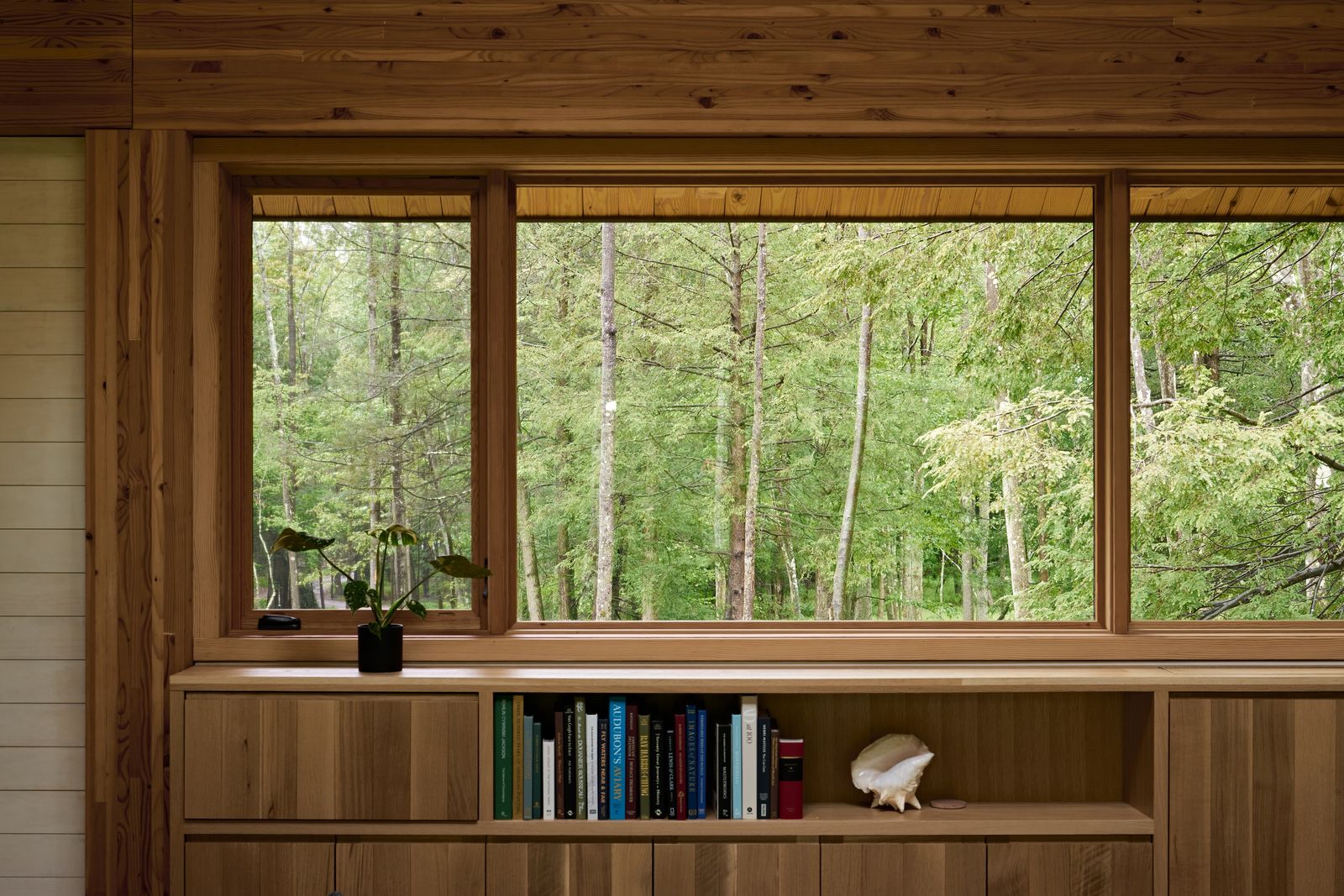 Every opening was designed to feel deliberate. Casement and picture windows from the Marvin Ultimate collection above the living room’s built-in shelving offers an eye-level view into the canopy.