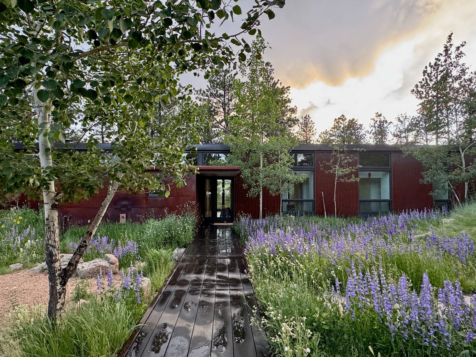 Architect Stephen Dynia prioritized natural materials and sustainable building strategies as he designed the award-winning dwelling set on 35 acres.

