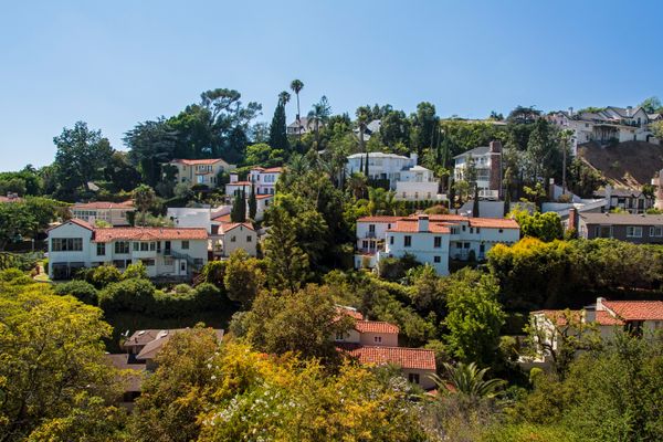 Residents in California are weighing potential wildfire safety vs. keeping their urban tree canopy.