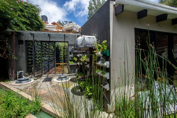 The Biotope Boutique House features a unique vertical greenhouse and water conservation system based on the natural filtration of totora reeds from nearby Lake Titicaca.