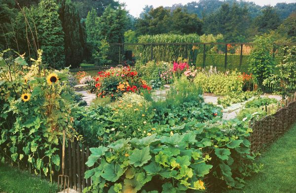 The kitchen garden at the Mien Ruyns garden, shown here in 1981, was maintained by Piers van der Stadt, another Dutch landscape architect who worked alongside Ruyns for years.