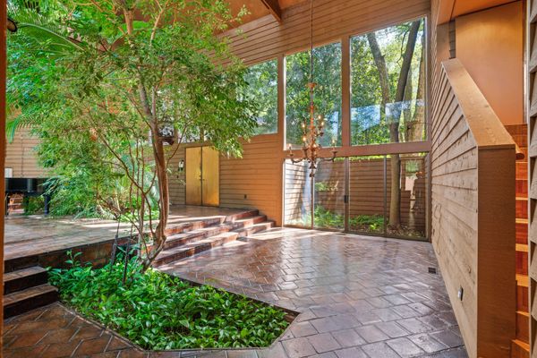 A skylight and double-height floor-to-ceiling windows ensure the interior vegetation gets enough sunlight.