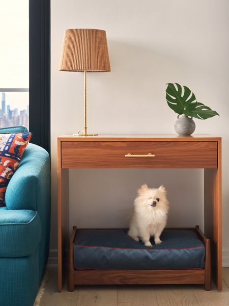 For Lola, a one-eyed Pomerinian, interior designer Tara McCauley created a custom console table and daybed upholstered with an all-weather velvet by Dedar. On top, a Gabi lamp.