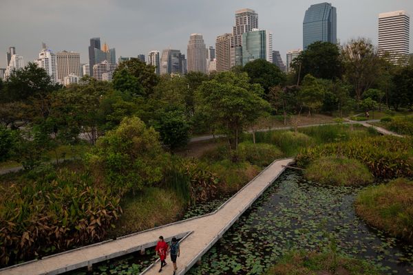 Turenscape’s Benjakitti Forest Park is a vibrant green space within the dense cityscape of Bangkok.
