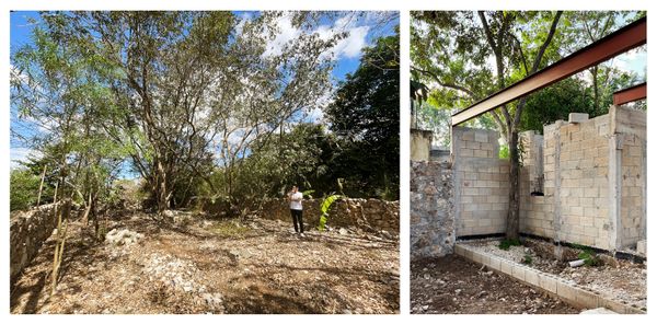 The couple kept some of the old perimeter walls, which are remnants from the site’s past use as a </i>solar Maya</i>  homestead.