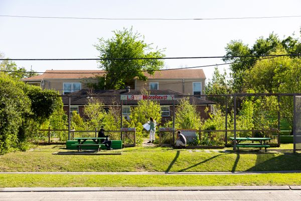 Colorful, hand-painted signage advertises that the site—located at 2640 Lamanche Street, right next to a levee—is open to the public and hosts stewardship days every other Saturday.