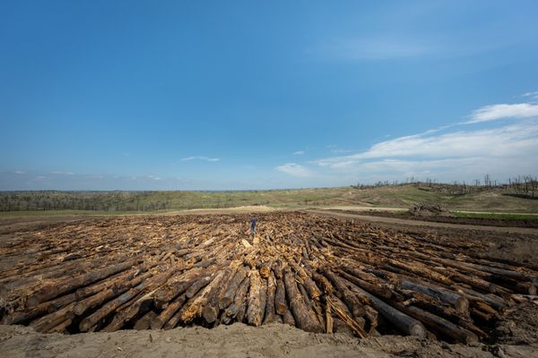 Washington biomass storage company Mast Reforestation positions itself as a forest management solution in the wake of wildfire events.