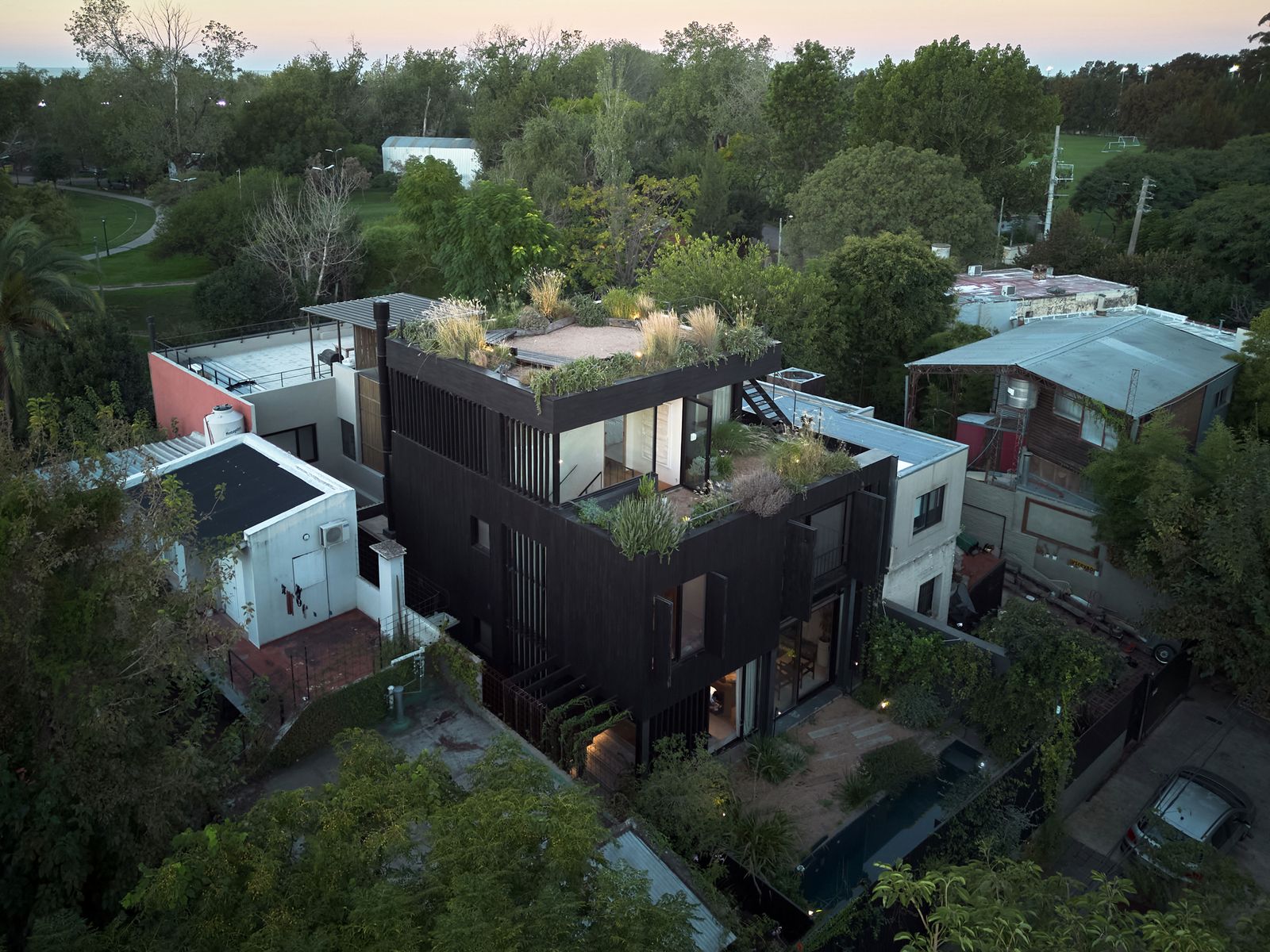 Plants grow all around—and on the roof of—the multilevel Buenos Aires home an architect and a textile company cofounder built on a 26-foot-wide lot.