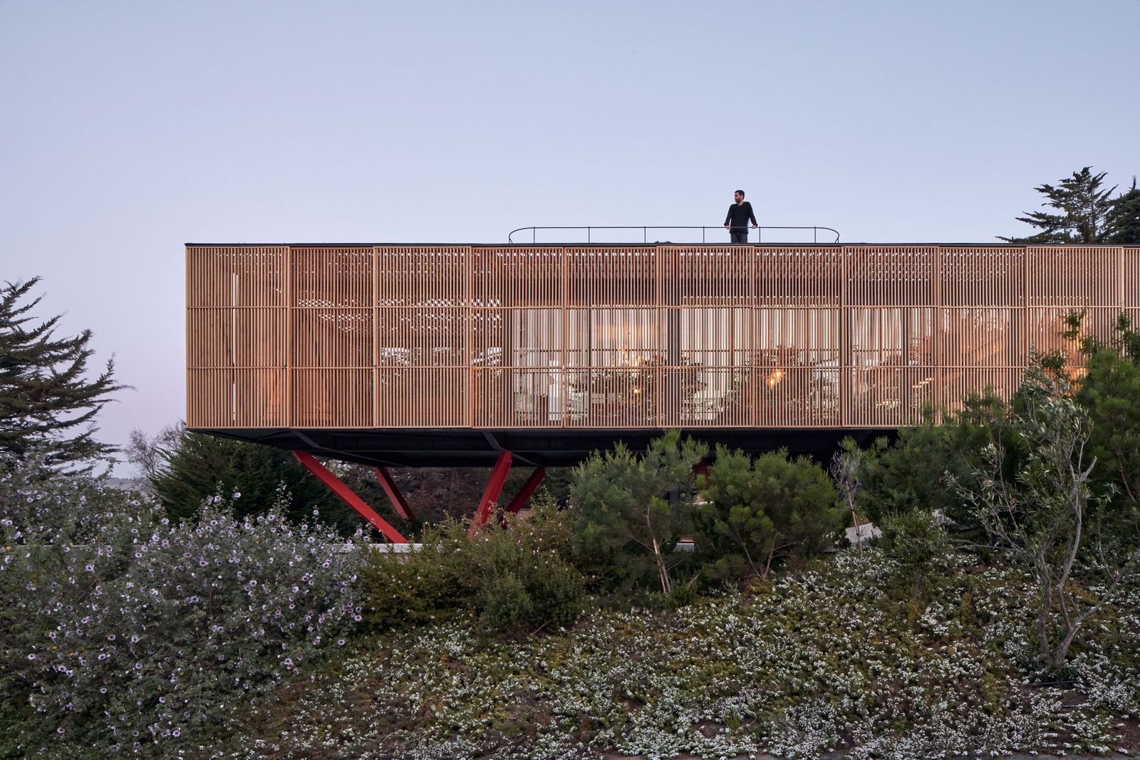 Why Are Cabins in Chile So Cool?
