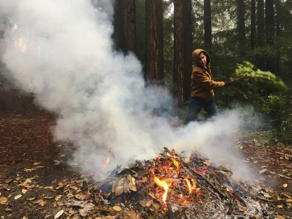 Molly Fiffer tends to a burning brush pile on the ten-acre parcel in the Santa Cruz Mountains she and Jeff Waldman purchased a decade ago.