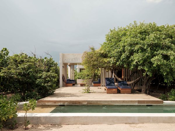 On the deck that joins the narrow pool to the house, lush fig trees shade a hammock and a pair of lounge chairs.