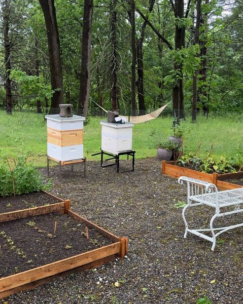In its second year, the bee yard has been expanded alongside the garden.