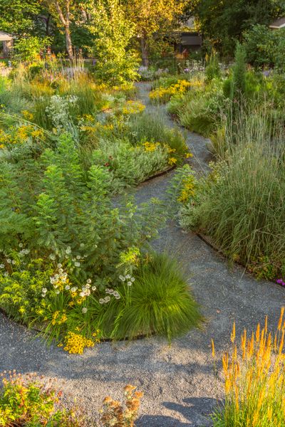 Featured in Epping’s book, writer Ana McCracken made a prairie-inspired gravel garden in Ames, Iowa to complement her rustic farmhouse-style abode.