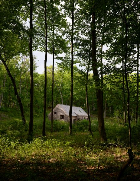 Despite the property’s 12 wooded acres, owners Keri Bronk and Graham Newhall wanted their new home to have a compact footprint.