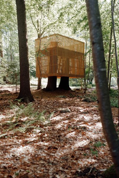 Ryan Habbyshaw built a tree house for his daughter on their Massachusetts property, calling on his dad and a group of design-minded friends from work to pitch in on the design and build.