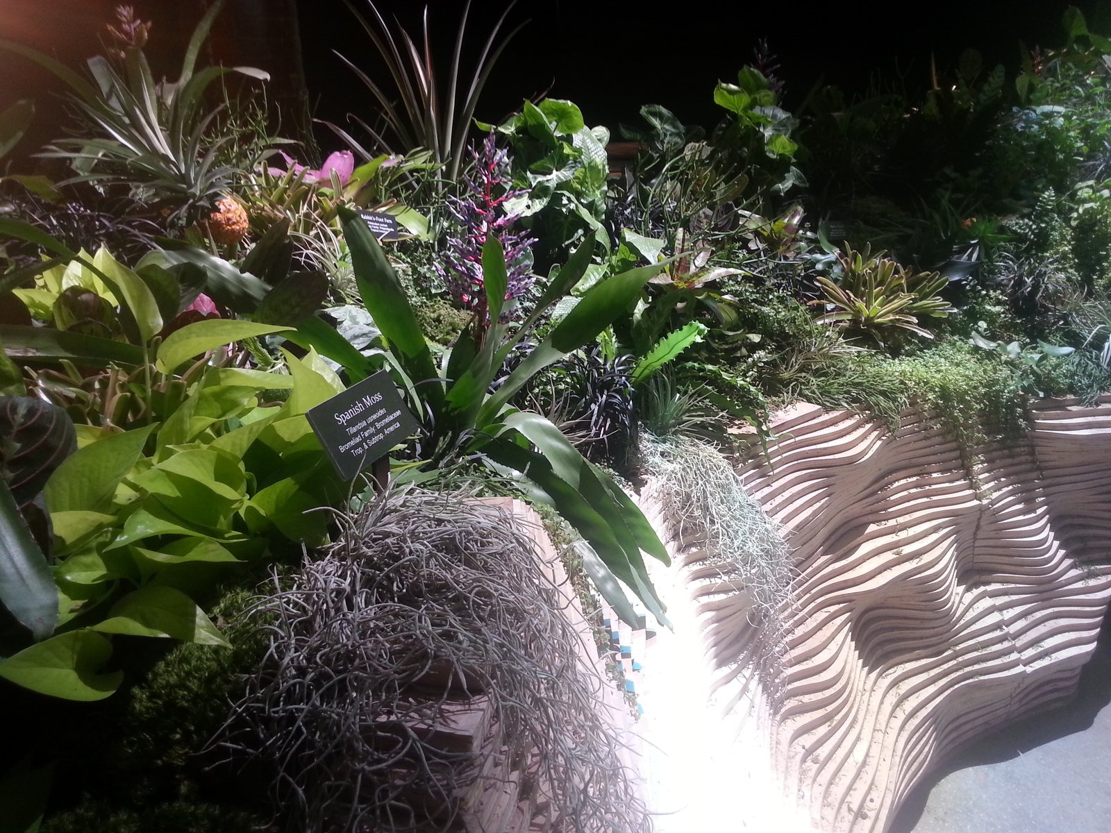 The Lowline Lab is open to the public every weekend. 